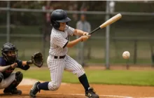 Baseball Bat