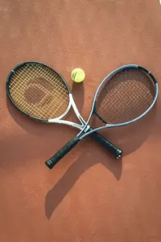A tennis racket and tennis ball placed on a tennis court