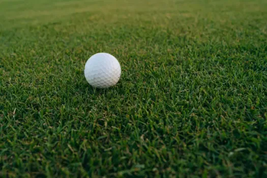 A golf ball placed on a golf course near the hole