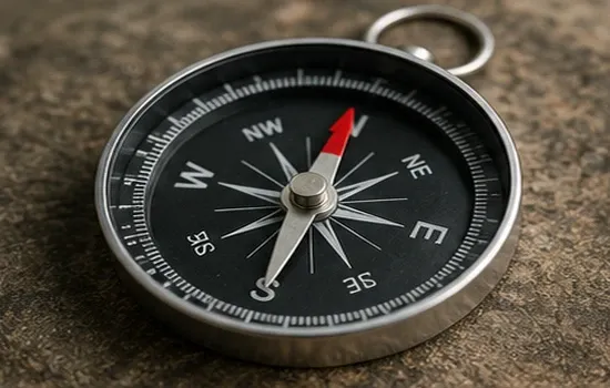 Compass Needle